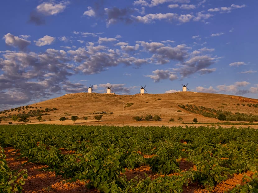 What does La Mancha, the underrated wine region in Spain, have to offer?