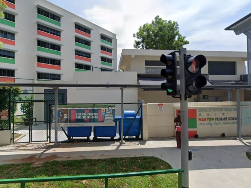 The pupil, who was last in Palm View Primary School on March 30, contracted the virus from a family member.