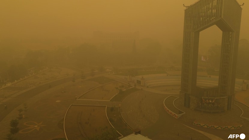 Four killed fighting wildfires in Indonesian national park