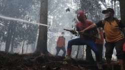 Related article image