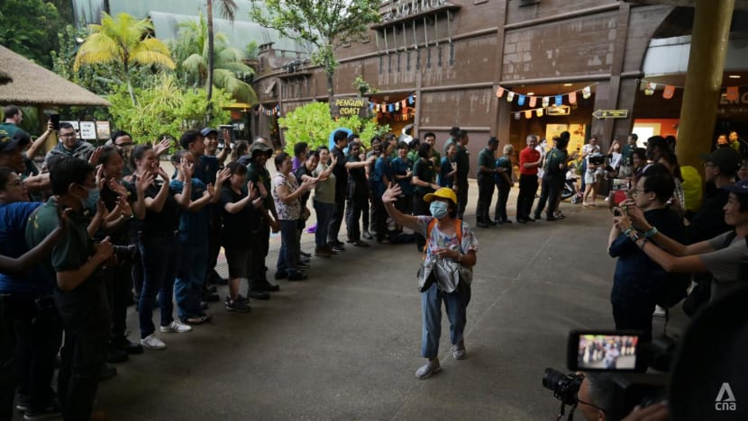 Rain fails to dampen spirits on Jurong Bird Park's last day of operations Rain fails to dampen spirits on Jurong Bird Park's last day of operations