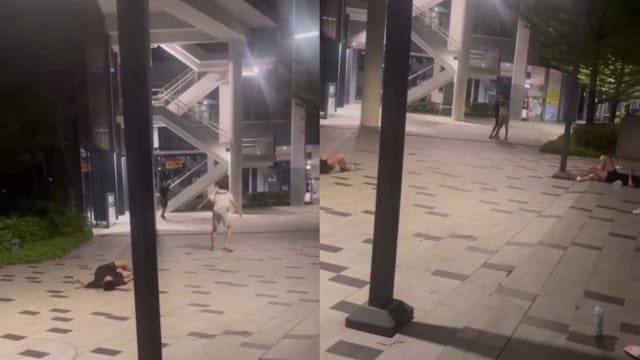 疑吸“丧尸烟弹” 四名少年深夜在榜鹅广场化身“行尸走肉”