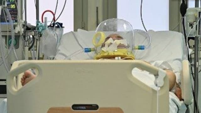 爱尔兰男子游泰 被罕见蚊子叮咬病危