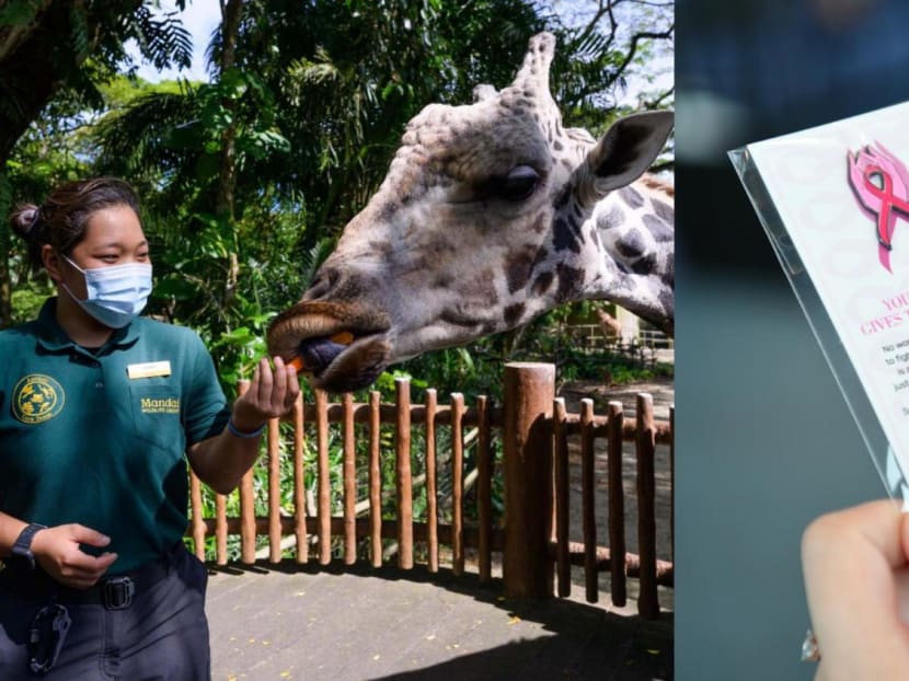 Spread the cheer: 7 places to volunteer at this festive season