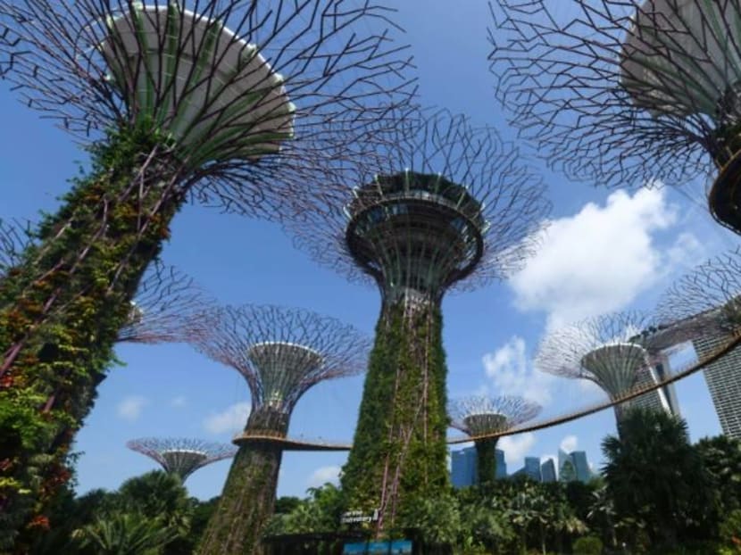 Commentary: Race for scarce talent in green finance looming in Singapore Commentary: Race for scarce talent in green finance looming in Singapore