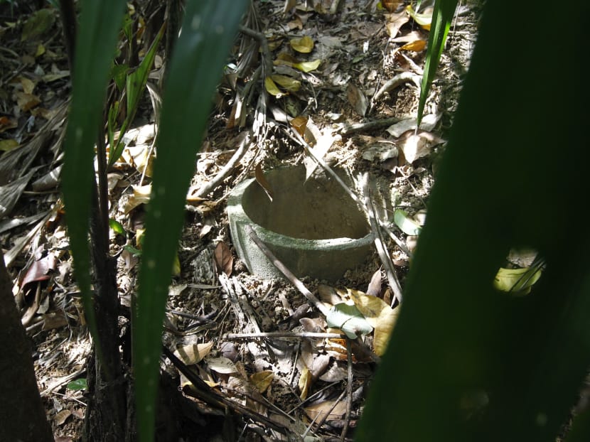 Abandoned war site at Marsiling added to list of NHB guided tours