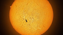 Related article image