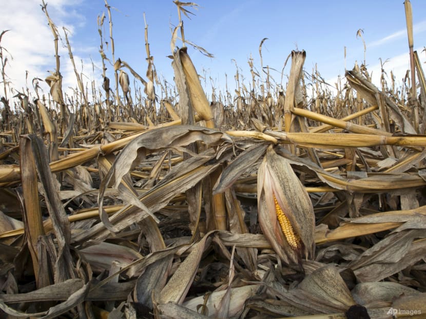 The way we eat could add nearly 1 degree of warming by 2100