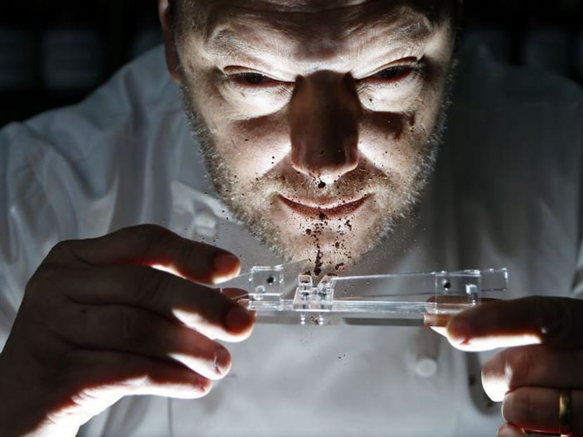 Gallery: Chocolate snorting offers new way to a cocoa high