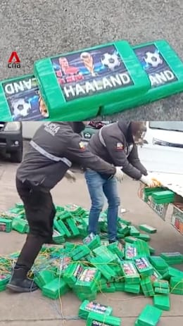 Ecuador police seize 370kg of cocaine packaged with football star Haaland's face