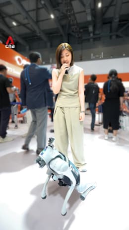 China's plug-and-play AI tech