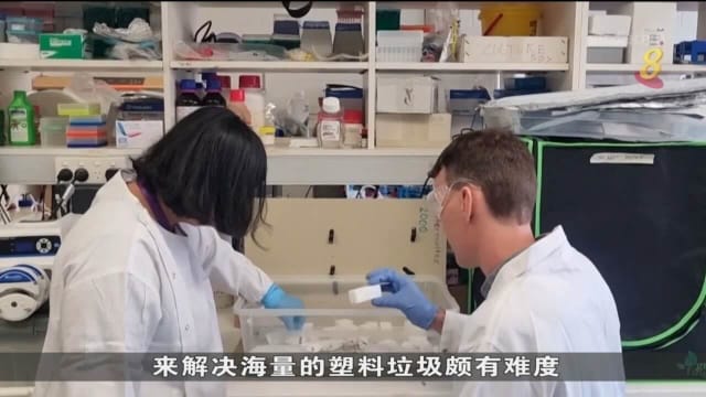 科研人员发现能消化保丽龙超级蠕虫 有望助减少垃圾