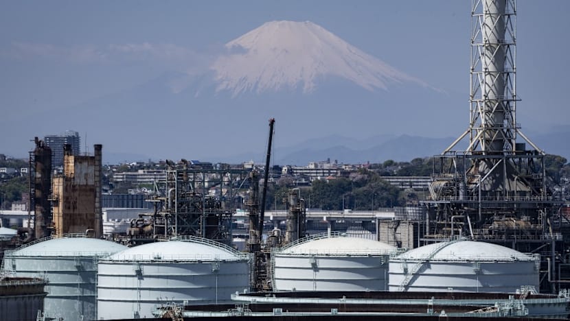 First Russian oil arrives in Japan since Iran war: Media