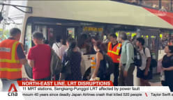 NEL, LRT disruptions: SBS Transit, LTA engineers to work overnight to restore power supply 