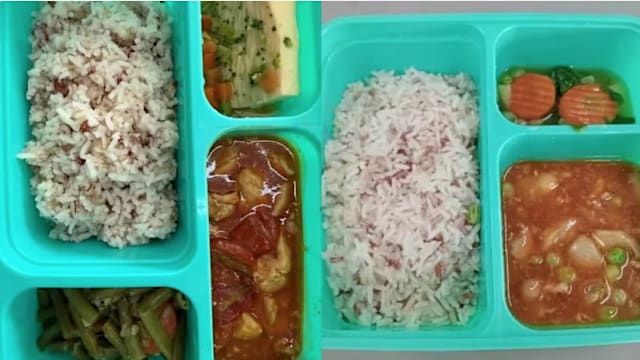 为华中争议午餐饭盒发声 哈莉玛：看起来不错