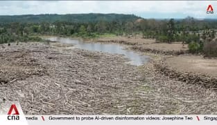 Permit revocations follow Sumatra disaster, yet forest exploitation continues