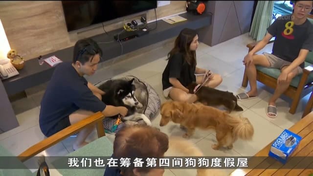 宠物度宅假需求比疫情前多至少两成