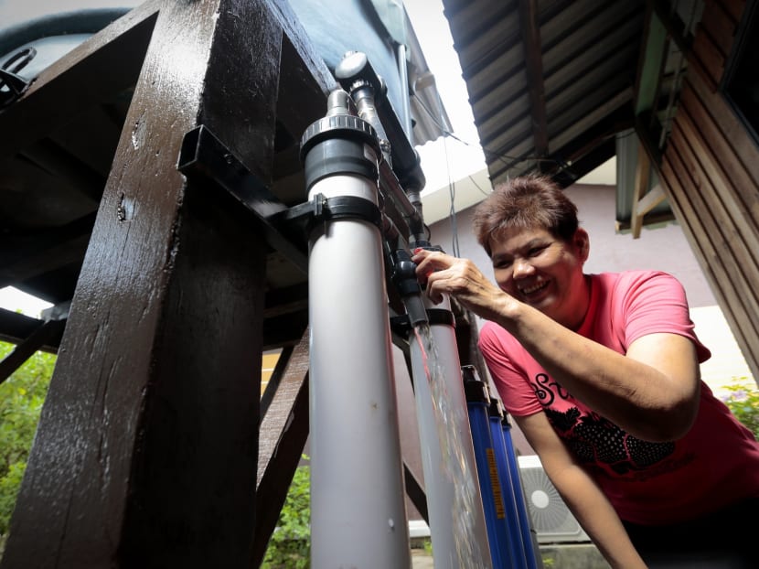 Treatment systems installed on Pulau Ubin to provide safe drinking water