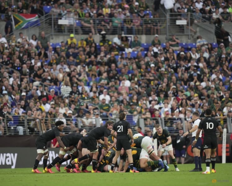 Revival of rugby tour between New Zealand and South Africa proves a success