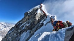 Related article image