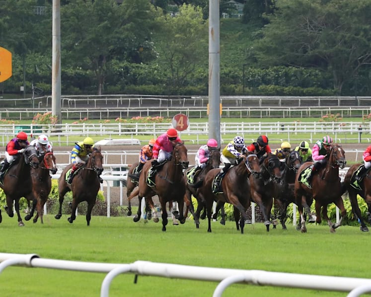 Racehorse owners to call for Govt to postpone Singapore Turf Club’s scheduled closure in 2027