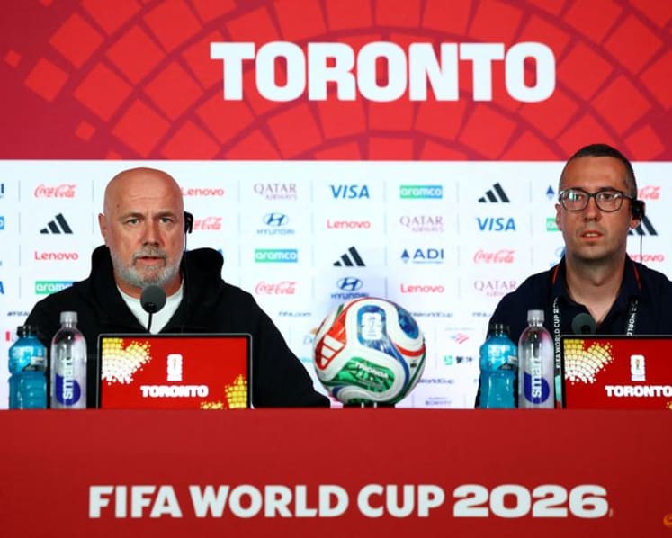Bosnia will play with hearts in World Cup opener, says coach Barbarez