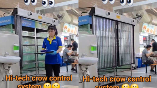 Are Hawker Centres Starting To Use High-Tech Methods To Stop Birds From Stealing Food Scraps?