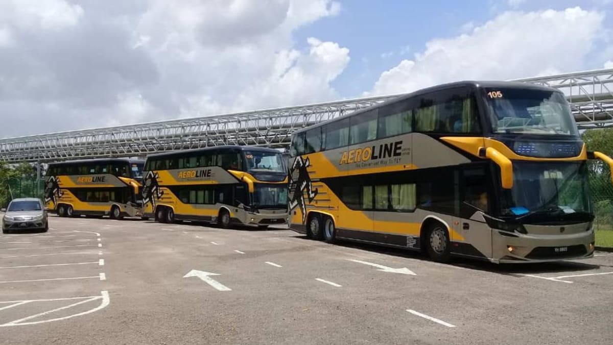 Malaysian coach operator Aeroline to suspend operations for a month, including from Singapore