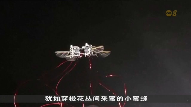 MIT研发机器昆虫 助力室内农场人工授粉提高效率