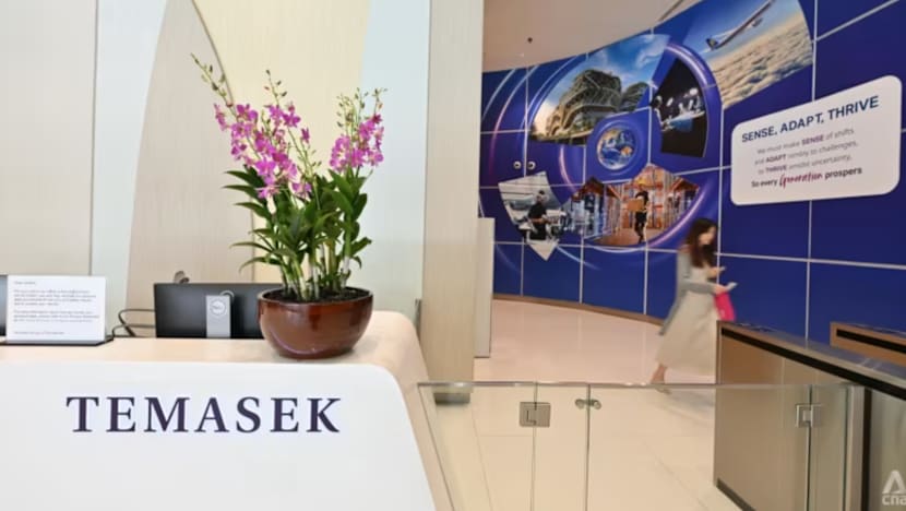 செயற்கை நுண்ணறிவில் முதலீட்டைப் பெருக்க விரும்பும் Temasek Holdings