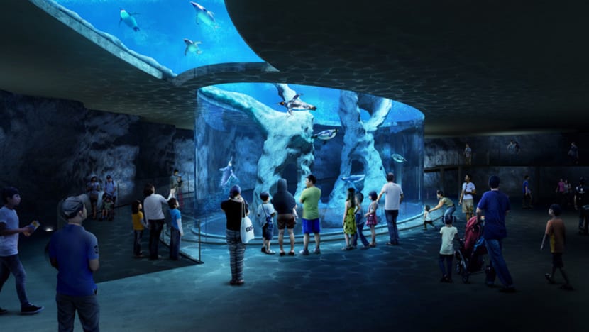 New Mandai attractions hope to draw 10m visitors, boost job market