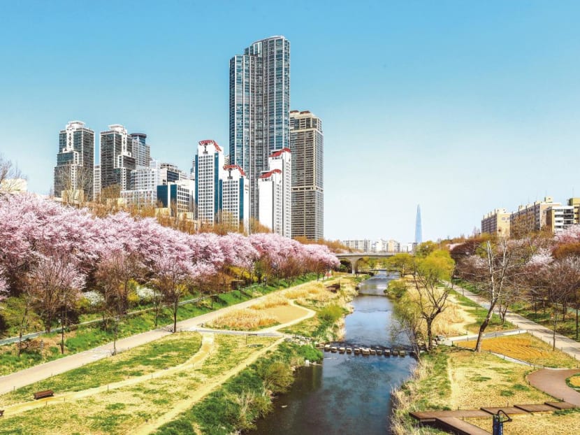 Escape to an idyllic natural wonderland in Gangnam