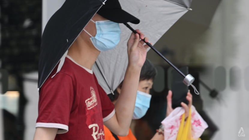 chua_wang_cheng Man jailed for sharing anti-Islam videos on Facebook while posing as someone he disliked