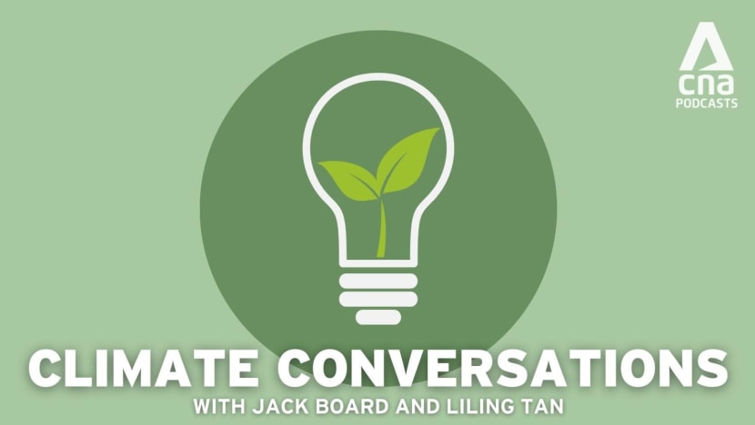 Climate Conversations - Kids ask the darndest questions: Climate edition