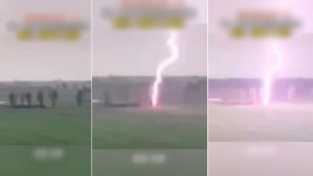 天津一棵树被雷劈13下 网民：渡劫成仙