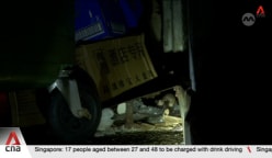 480 enforcement actions taken against premises owners for rat-related lapses in H1 2025