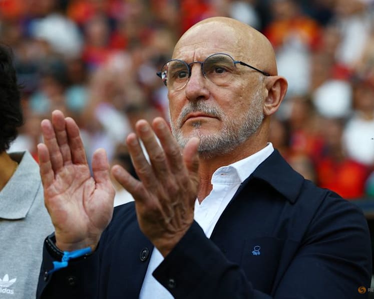 Spain’s De la Fuente praises team's resilience, lauds World Cup progress