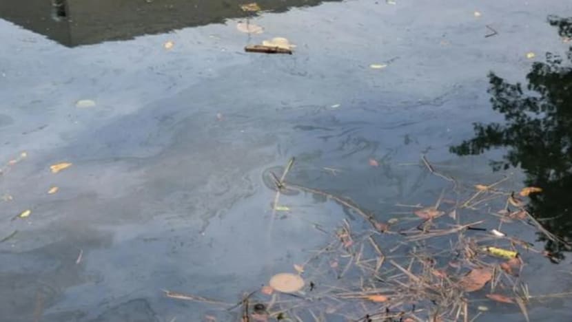 Pencemaran bau di Sungai Pandan, Johor mungkin akibat tumpahan bahan kimia Pencemaran bau di Sungai Pandan, Johor mungkin akibat tumpahan bahan kimia