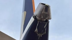 Related article image