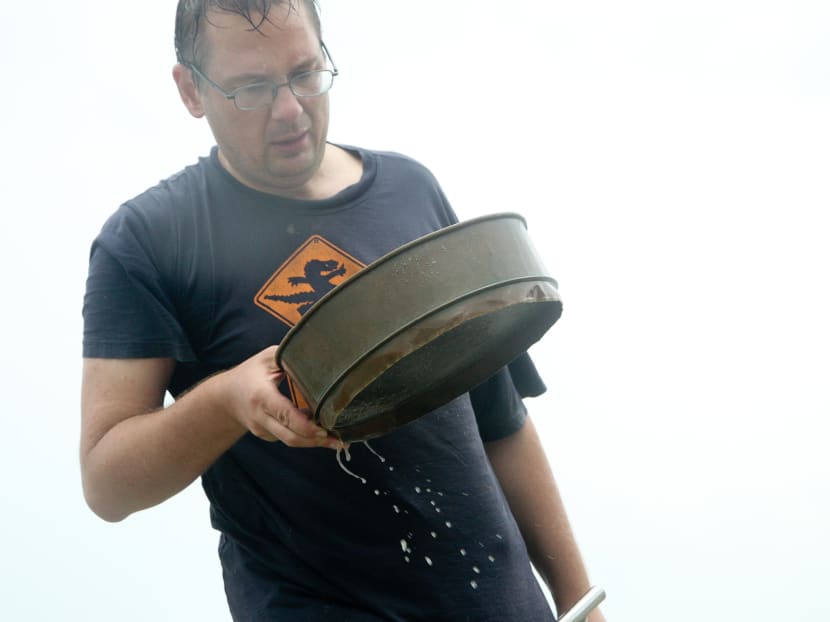 Searching the coast for marine life