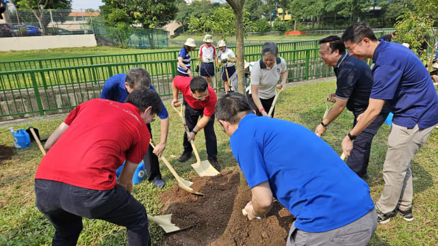 碧山直通市区连接项目首阶段工程竣工 今正式启用
