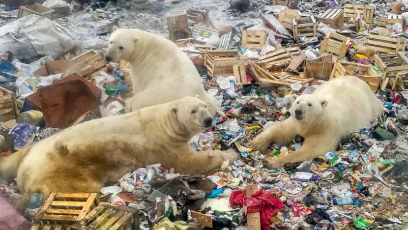 Gambar Pilihan Hari Ini