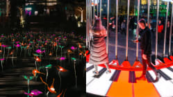 Related article image