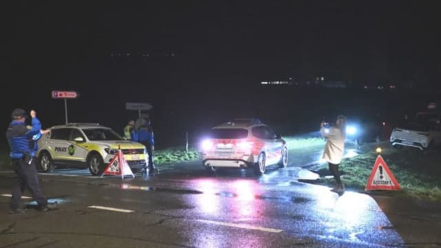 瑞士一男子手持斧头和刀子挟持列车乘客 被警员开枪击毙
