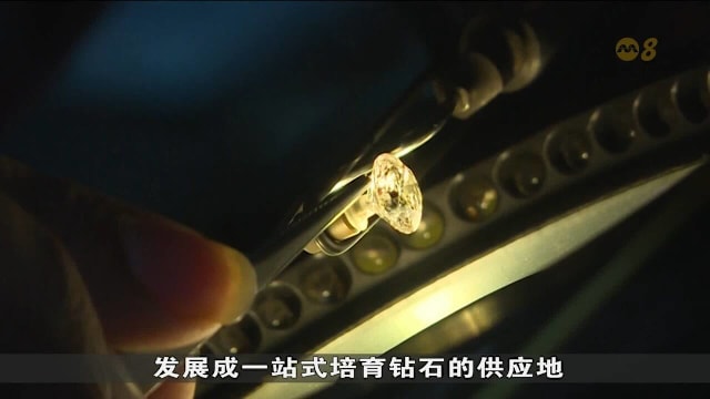 瞄准实验室培育钻石市场 印度近几年大力推动行业发展