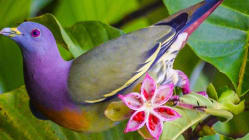 Related article image