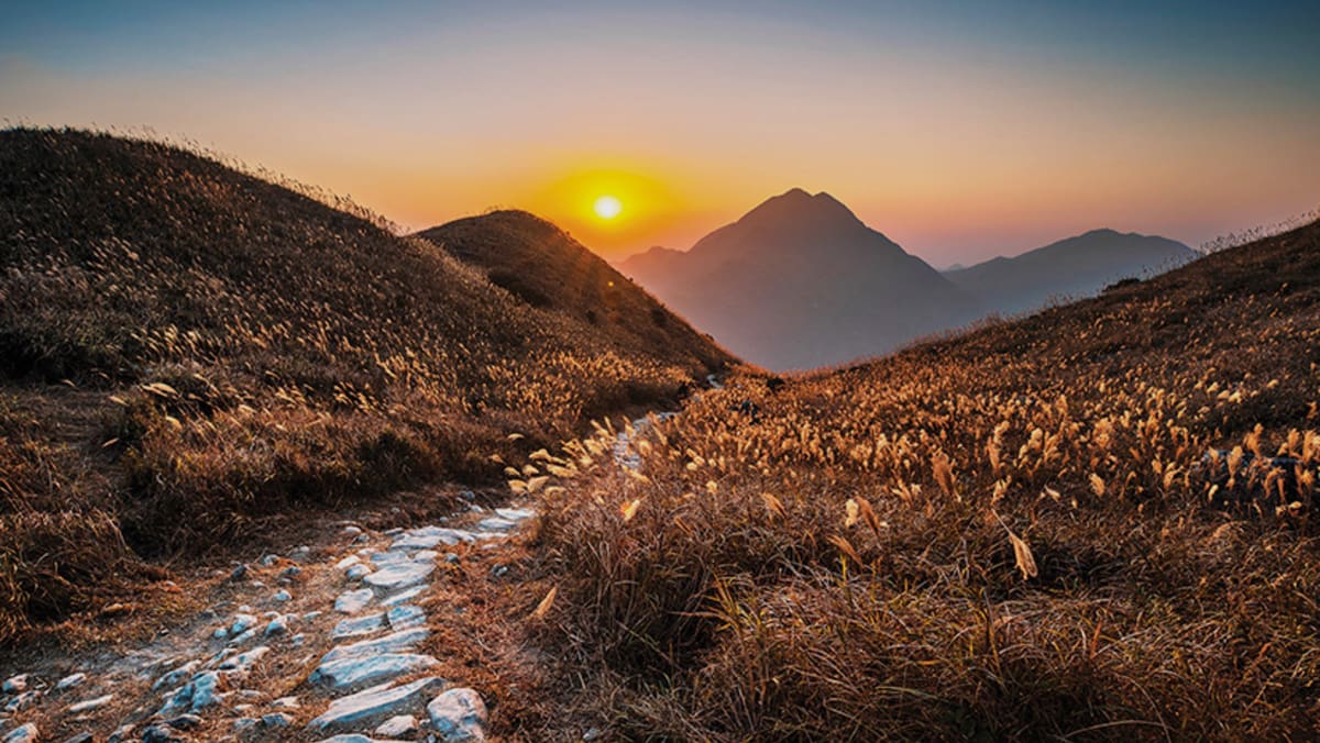 With lush mountains, scenic trails and a vibrant coastline, Hong Kong offers a wealth of thrilling outdoor adventures.