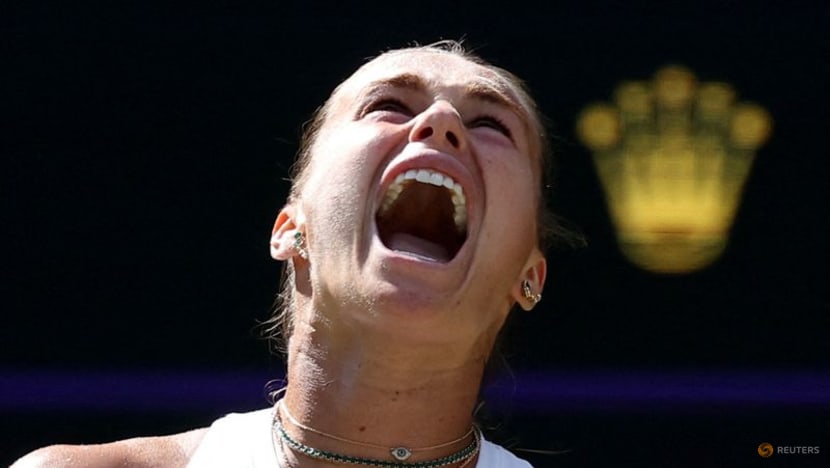 Sabalenka gracious in defeat after lessons from French Open