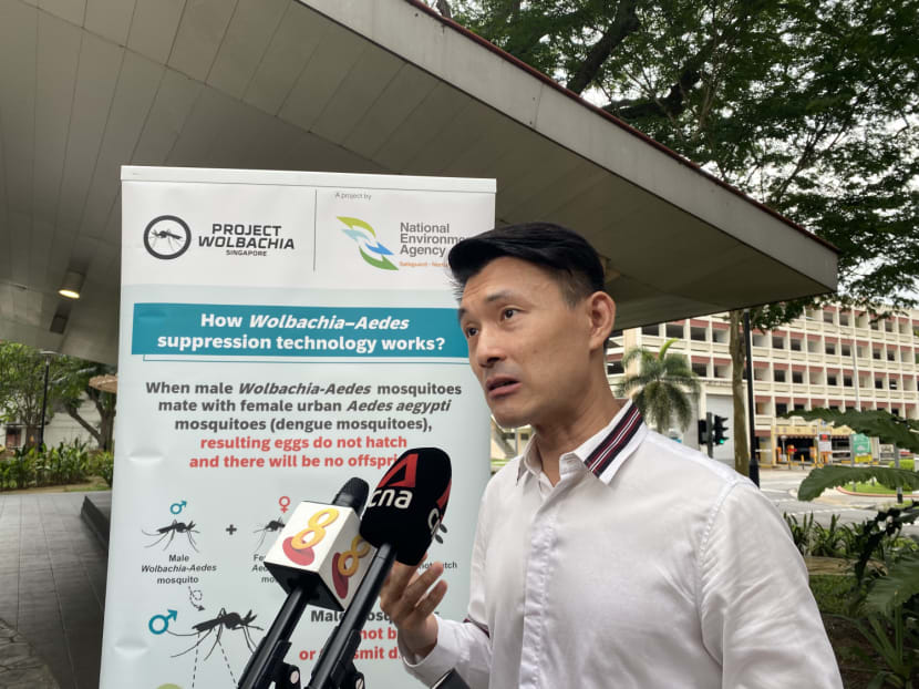 Mr Baey Yam Keng, Senior Parliamentary Secretary of Sustainability and the Environment, speaking to reporters at a Project Wolbachia release event on Oct 10, 2022. Mr Baey Yam Keng, Senior Parliamentary Secretary of Sustainability and the Environment, speaking to reporters at a Project Wolbachia release event on Oct 10, 2022.