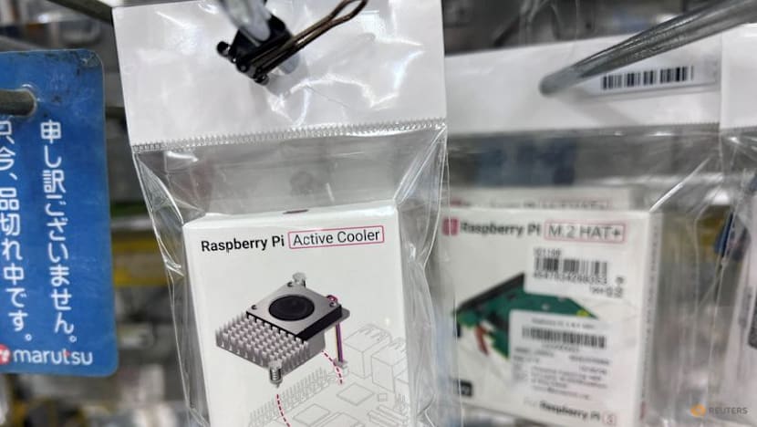 UK's Raspberry Pi lifts annual profit forecast on strong first-half results